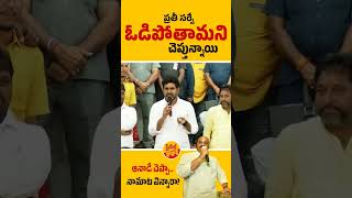 ప్రతీ సర్వే మేము ఓడిపోతామని చెప్తున్నాయి.. #chandrababu #naralokesh #cyclepovali #trending #pappu