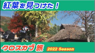 C-#174【クロスカブ旅 】今年最後の、紅葉を見に行く。