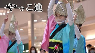 新春阿波踊り、大型ショッピングモールで阿波おどり！