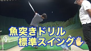 魚突きドリル習得スイング！！山本道場・男性標準的スイング