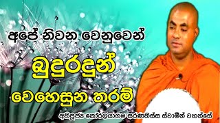 අපේ නිවන වෙනුවෙන් බුදුරදුන් වෙහෙසුන තරම් | Ven Koralayagama Saranathissa Thero  | Sadaham TV