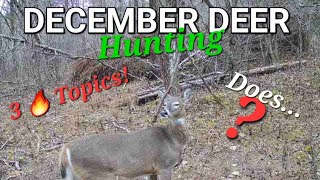 December Deer Hunting Tips and Strategies