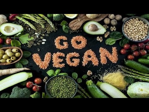 Documental Sobre El Veganismo - YouTube