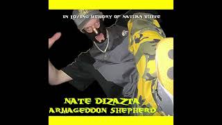 What I Want - Nate Dizazta, NinjaNorm \u0026 Tremendous