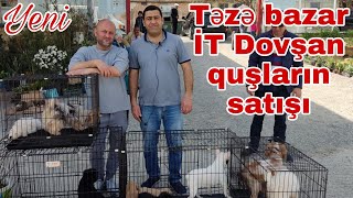 Təzə bazar İt dovşan quşların satışı 03 aprel 22 #mubarizemintv #tezebazar