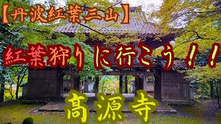 【丹波紅葉三山】もうすぐ見頃です♪高源寺#ドライブ #観光 #紅葉