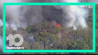 'We're at risk': Pasco neighbors ask officials to help prevent brush fires in their community