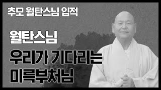 [추모] 우리가 기다리는 미륵부처님 _ 월탄스님 [봉은사 큰스님초청 일요법회]