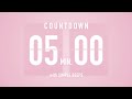 5 Minute Countdown Timer 🌸 Flip Clock with Simple Beeps 🔔