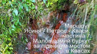 Маршрут Ясиня - Петрос - Кваси, частина 7: Маловідомий буркут за підвісним мостом в Квасах