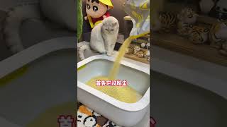 【小风车车】你永远猜不到猫咪突然消失的时候躲在哪里