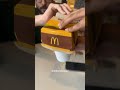 MCDONALDS MEXICAN BIG MAC!!🧀🍔#shorts