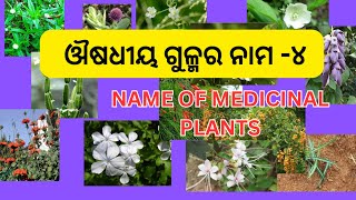 ଔଷଧୀୟ ଗୁଳ୍ମର ନାମ -୪ || Name Of Medicinal Plants - 4 || Odia, English, Botanical Name |