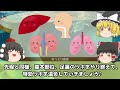 【びわの葉自然療法】ビタミンb17を使い20万人の難病を治した！？【ゆっくり解説】