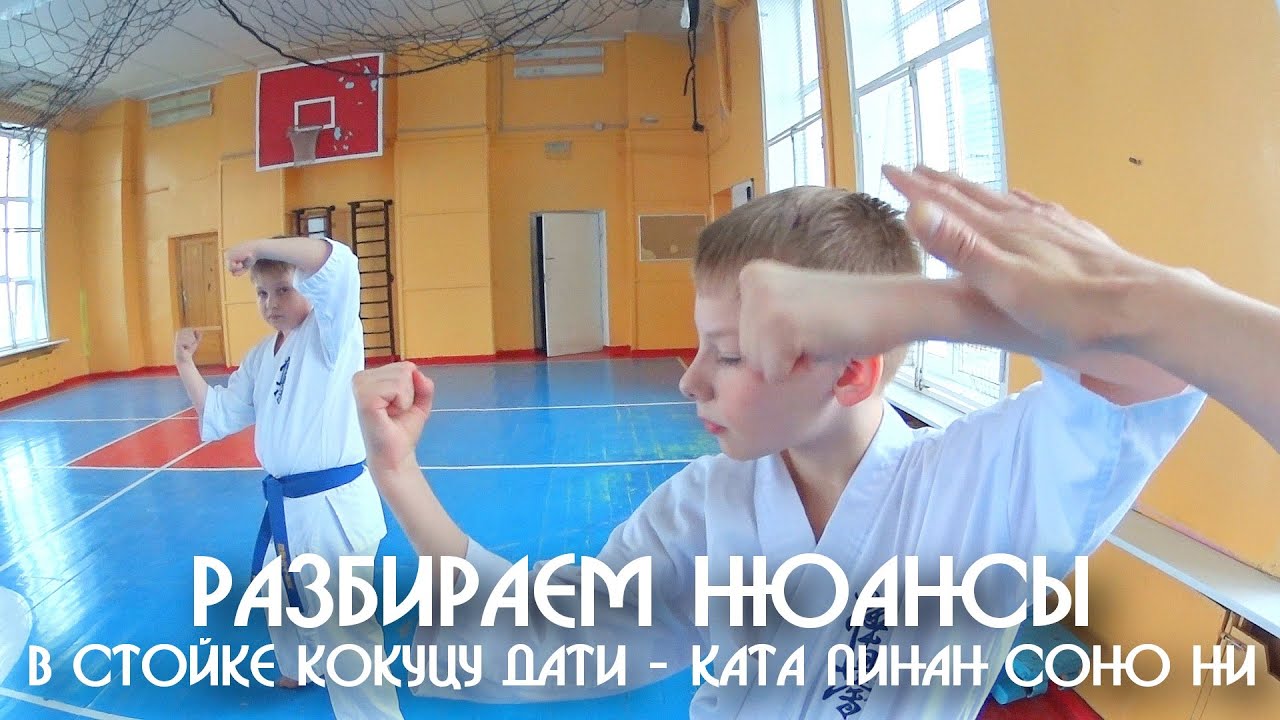 Каратэ Кекусинкай Пинан Соно ни 2