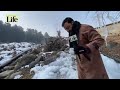 kashmir chilai kalan dispatch from shopian