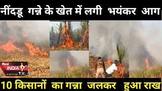 BIJNOR NEWS: नींदडू में गन्ने के खेतों में लगी भयंकर आग 10 किसानों का गन्ना जलकर हुआ राख पुलिस मौजूद