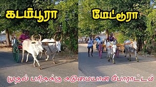 குலசேகரநல்லூர் பெரிய மாடு (6.08.2023)/@tn69reklarace69