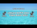 JANGAN BAPER DULU - DJ Satria × Willhard Ar [ VIRAL TIKTTOK 2024 ]