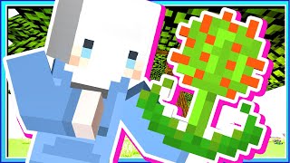 【 Minecraft | 秘森傳奇 】#14 最環保的發電方式❗️利用無限樹葉產生魔力跟電力😎