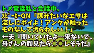 【スカッとひろゆき】トメ電話私と会話中。ｽﾋﾟｰｶｰON「豚みたいなエサは流しにポイよ！アンタが触ったものなんて汚らわしい！」←夫『聞いていたよ…来ないで、母さんの顔見たら○○しそうだ』