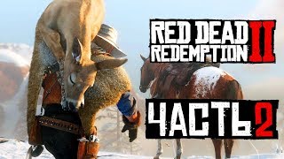 Прохождение Red Dead Redemption 2 — Часть 2: Первая Охота на Диком Западе
