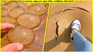 சுகமான அனுபவம் தரும் நீங்க பார்த்திராத விசயங்கள் |Amazing things| 260