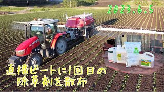 【2023.6.5】直播ビートに1回目の除草剤を散布　　　　北海道美幌町