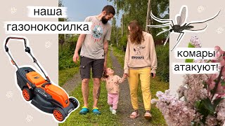 Много забот на даче! 🙈 Уборка участка🌱