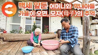 100세 앞둔 노모와 사는 막내아들, 효자 영걸씨가 가을을 기다리는 이유