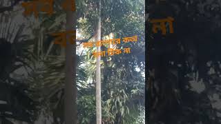 প্লিজ প্লিজ সবাই সাস্কাইব করবেন 🥲