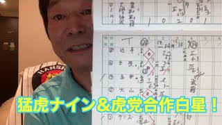 【ダンカンの虎輪書】　7／10 虎党の後押し勝利！　#阪神タイガース　#tigers