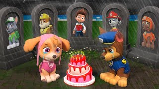 Paw Patrol The Mighty Movie | Rip All My Friends...Goodbye Paw Patrol -Sad Story | Rainbow Friends 3