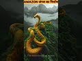 amazon jungle science sciencefacts