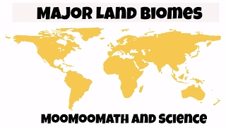 Major Biomes of the World