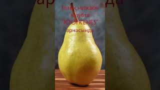 Алмұрттың пайдасы