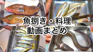 【作業用】釣った魚捌き\u0026料理動画まとめ