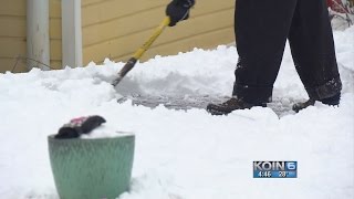 Health experts warn Portlanders of “heart attack” snow