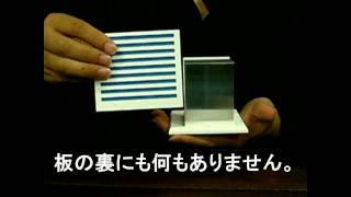 4-Dサプライズ byテンヨー 2011 / セオマジック