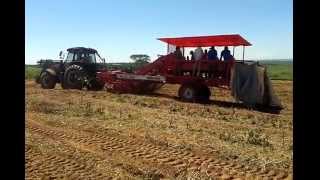 COLHEDEIRA DE MANDIOCA-COSECHADORA DE YUCA-CASSAVA HARVESTER WH-CM4000