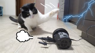 Survival Skills. Cat VS Air Pump