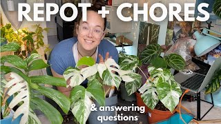 Repot with me + answering questions | Plant with Roos