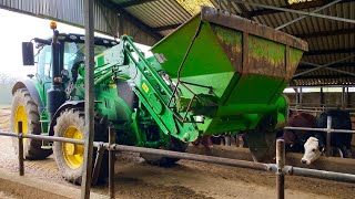 FEEDING OUT SUGAR TO 50 COWS IN 60 SECONDS !