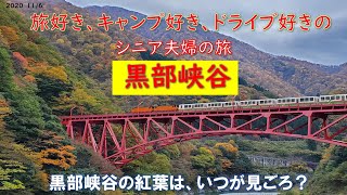 【富山】黒部峡谷トロッコ電車　紅葉風景