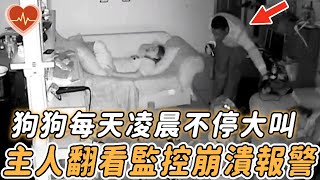 女人生產後狗狗每天晚上狂叫，她疑惑安裝監控後，令人顫抖的一幕出現了....... |#生產 #懷孕 #狗狗 #愛犬 #監視器 #監控 #壞人 #震撼 #不寒而慄 #恐懼