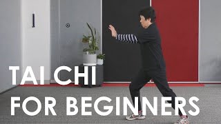 Tai Chi for Beginners | All Ages Home Fitness