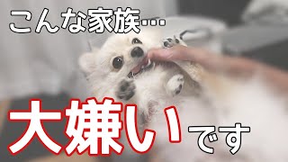 犬が家族の中で一番嫌いな人にしか見せない行動がショックすぎる【犬の仕草】