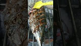 GRILLED TUNA FISH/ #shorts