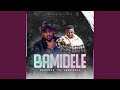 BAMIDELE (feat. SHADYKARZ)