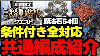 【条件付き全対応】魔法石54個！ネロミェール全対応共通編成紹介！代用＆立ち回り解説！【パズドラ】